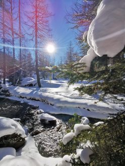 IMG_20210107_121129